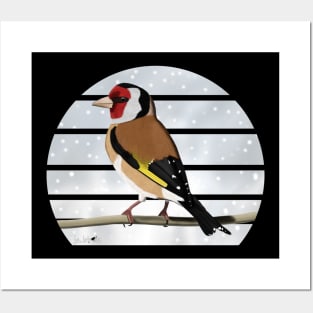 Goldfinch Winter Snow Bird Watching Birding Ornithologist Gift Posters and Art